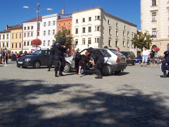 den_policie_150.jpg